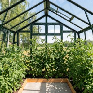 Stormsäkert växthus Variant 276 inifrån växthuset.