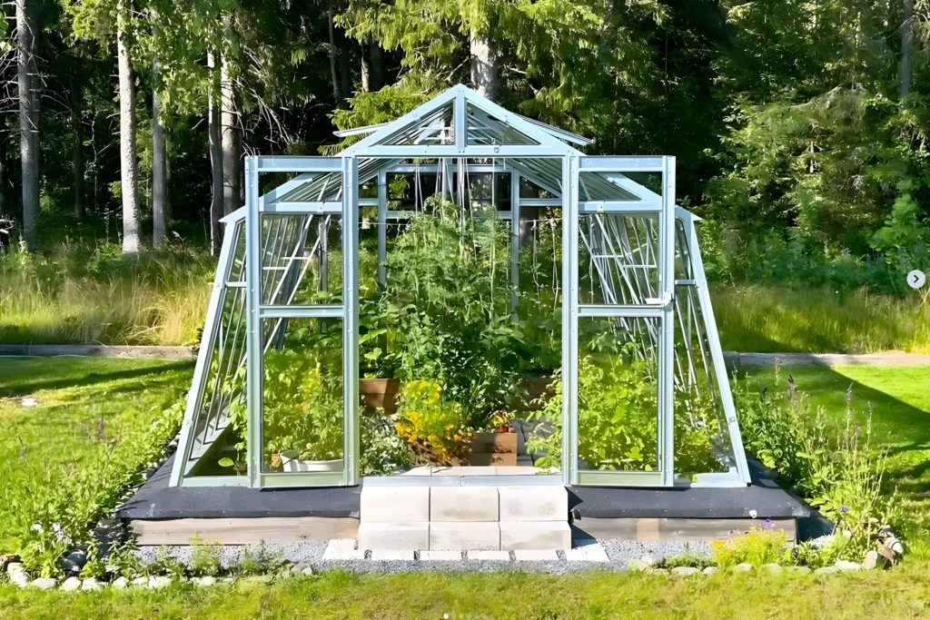 Grohus växthus Variant 303 Modell L framifrån med öppna pardörrar, tomatplantor och blommande tagetes i odlingslådor, på trägrund i en trädgård.