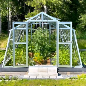 Grohus växthus Variant 303 Modell L framifrån med öppna pardörrar, tomatplantor och blommande tagetes i odlingslådor, på trägrund i en trädgård.