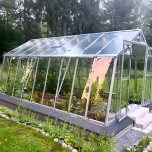 Grohus växthus Variant 303 Modell L från sidan med lutande glasväggar, takfönster och odlingsbäddar inne i växthuset, framför skog.