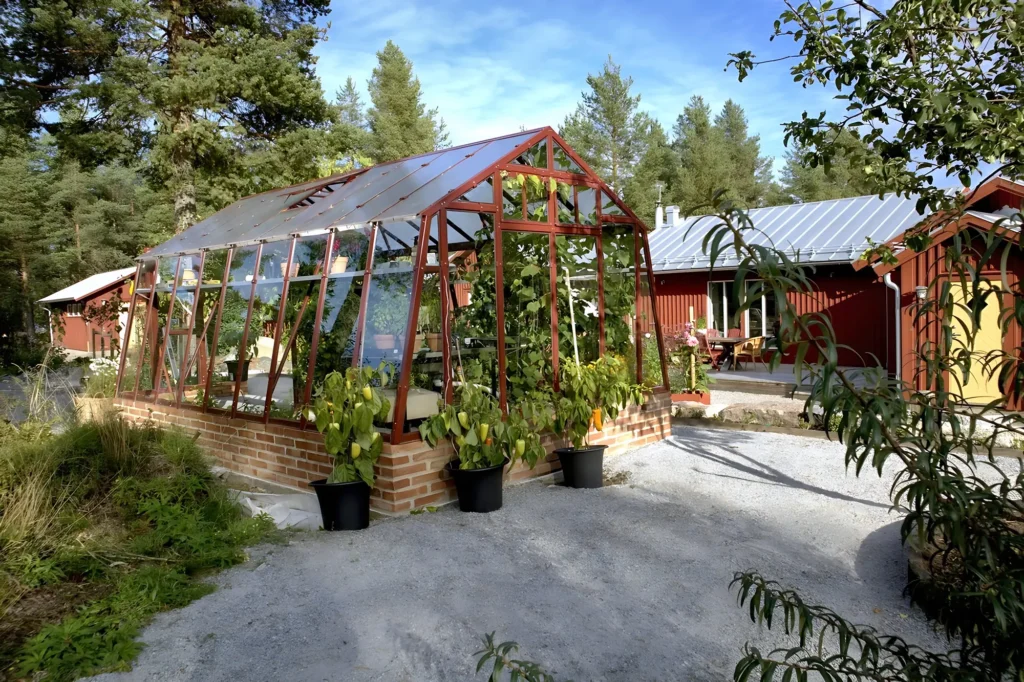 Stormsäkert växthus Variant 303 med 40 mur framifrån växthuset