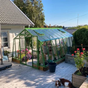Stormsäkert växthus Variant 303 med 20 mur på en trätrall.