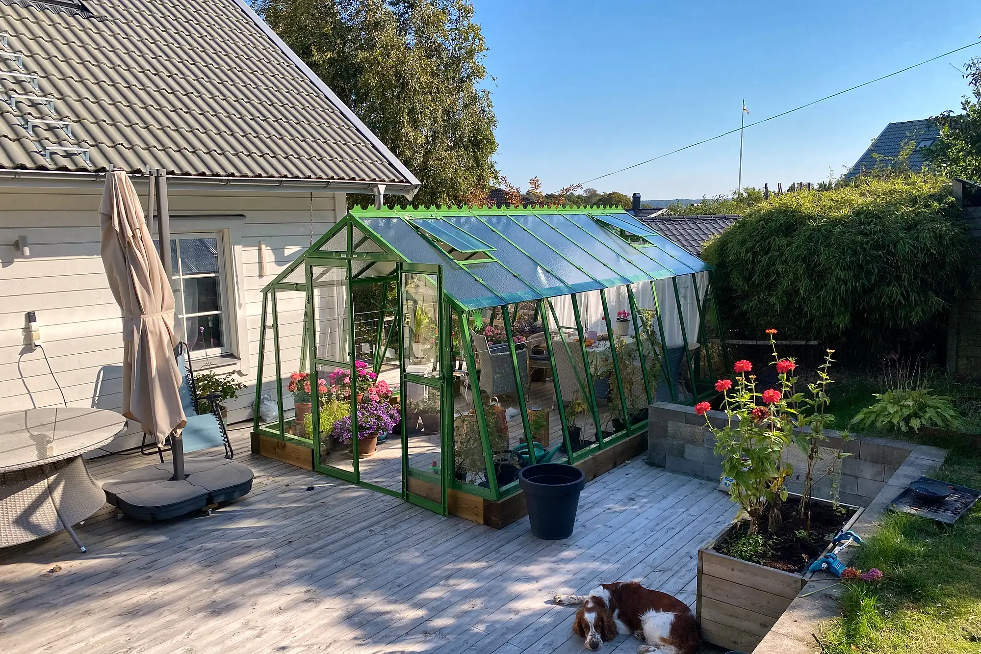 Stormsäkert växthus Variant 303 med 20 mur på en trätrall.
