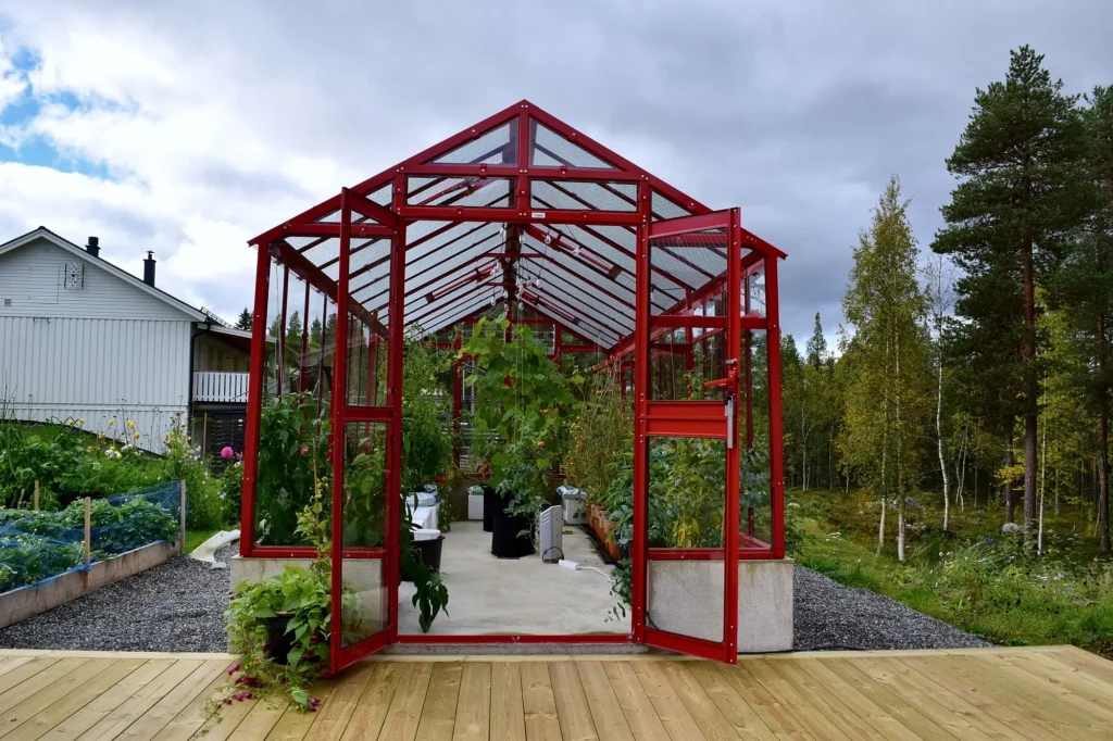 Stormsäkert växthus Primus 249 med mur 40 cm i röd lackering med dörren öppen