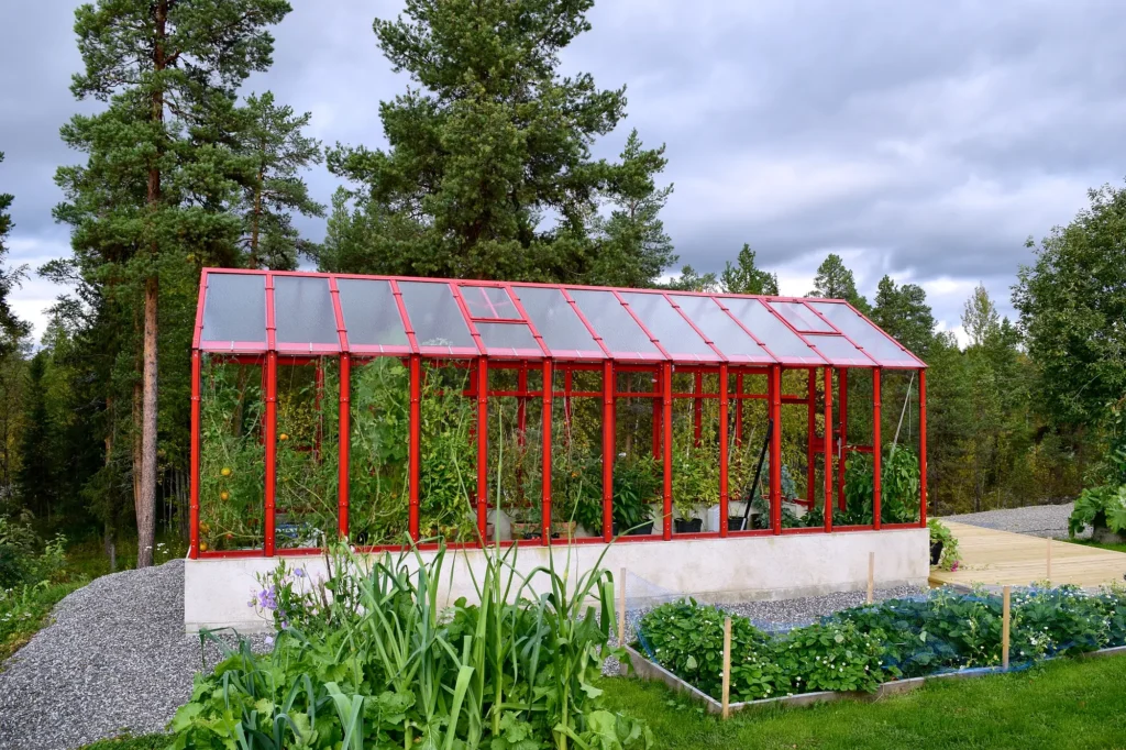 Stormsäkert växthus Primus 249 med mur 40 cm i röd lackering