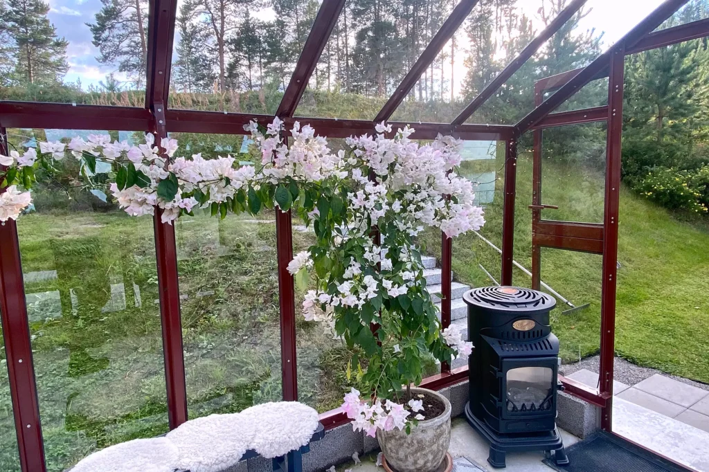 Stormsäkert växthus Primus 249 med mur 20 cm i röd lackering med kamin