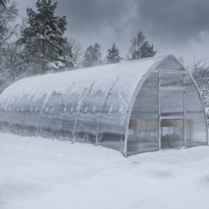 Tor 300x, tunnelväxthus under snöstorm
