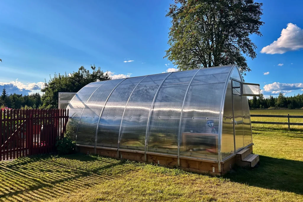Tunnelväxthus i polykarbonat på gräsmatta en solig sommardag med öppen taklucka och trätrappa vid dörren