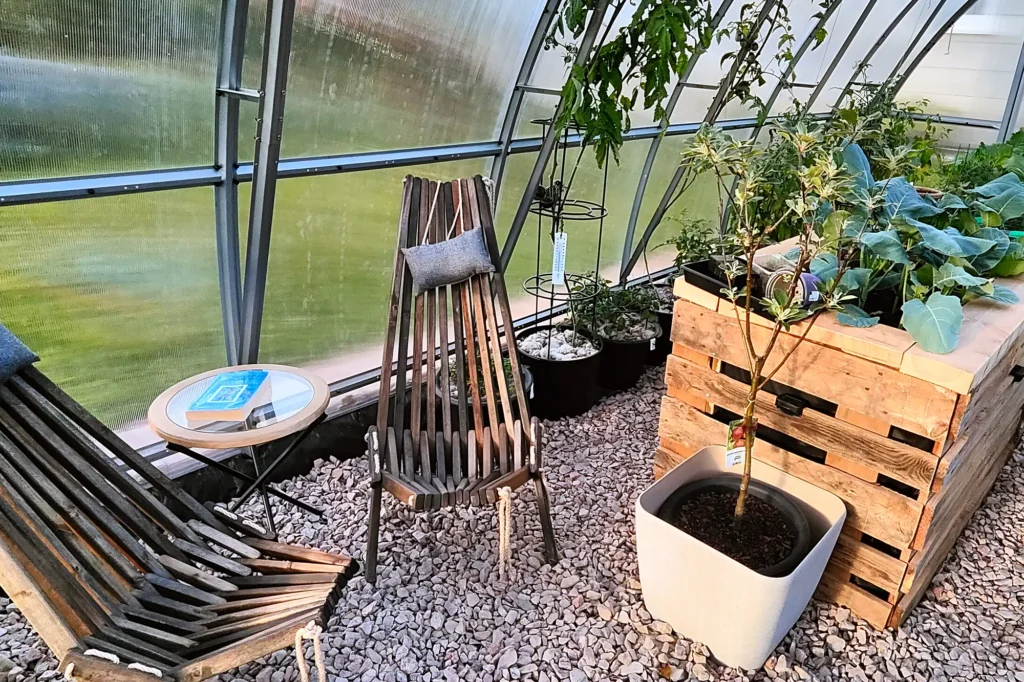 Sittplats med två trästolar och småbord inne i tunnelväxthuset Tor 300x, med kålplantor i odlingslåda bredvid
