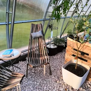 Sittplats med två trästolar och småbord inne i tunnelväxthuset Tor 300x, med kålplantor i odlingslåda bredvid
